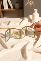 Timeless 8 Sided Colapsable Frame