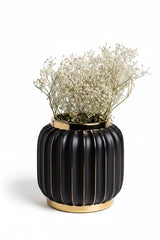 INVOKE Home and Living Vivid Vase: matte black ceramic ribbed vase with gold rim and base, filled with delicate white flowers.