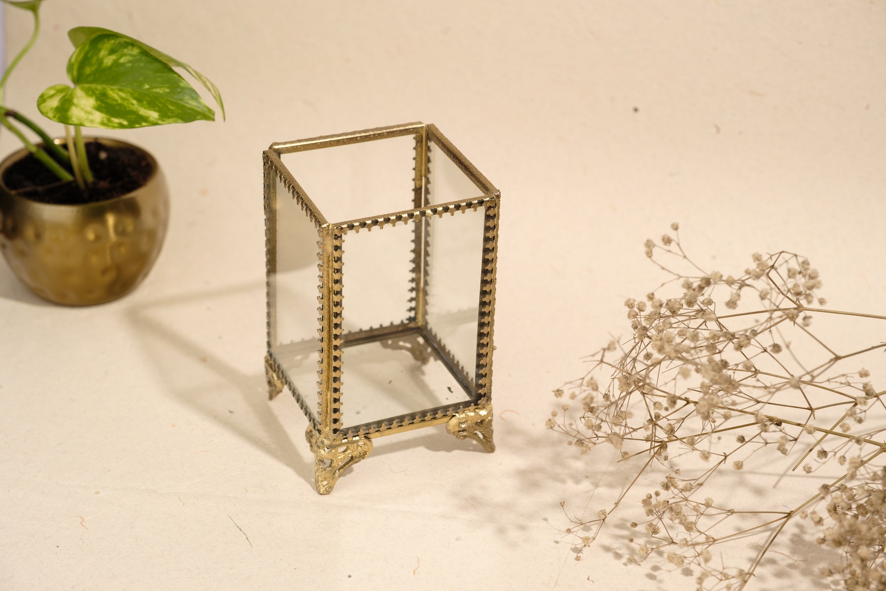Aura Organiser