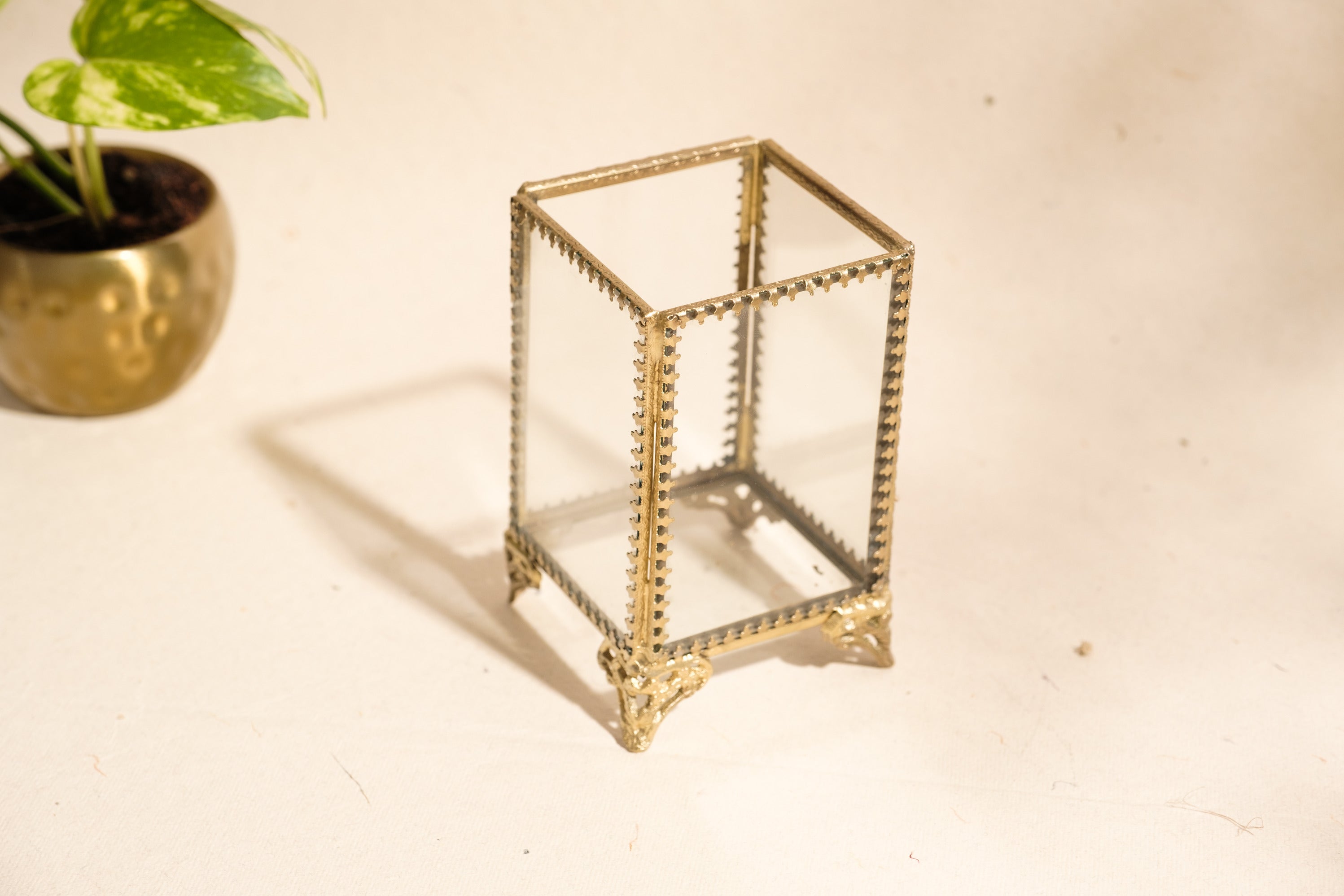 Aura Organiser