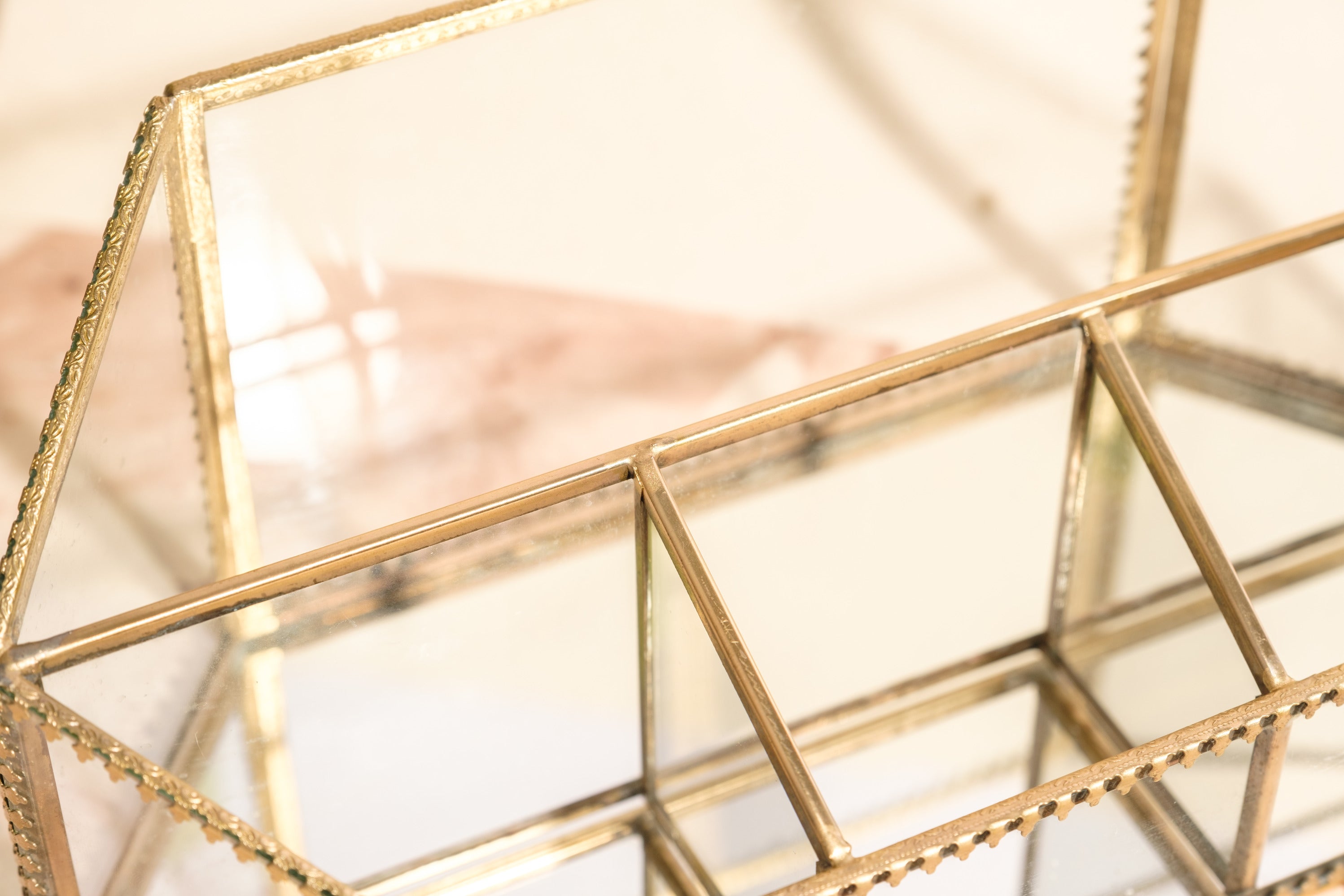 Vivid Organiser