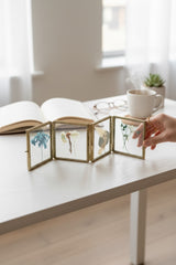 Timeless 8 Sided Colapsable Frame