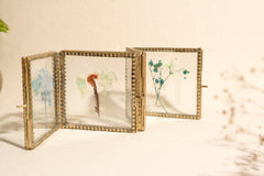 Timeless 8 Sided Colapsable Frame