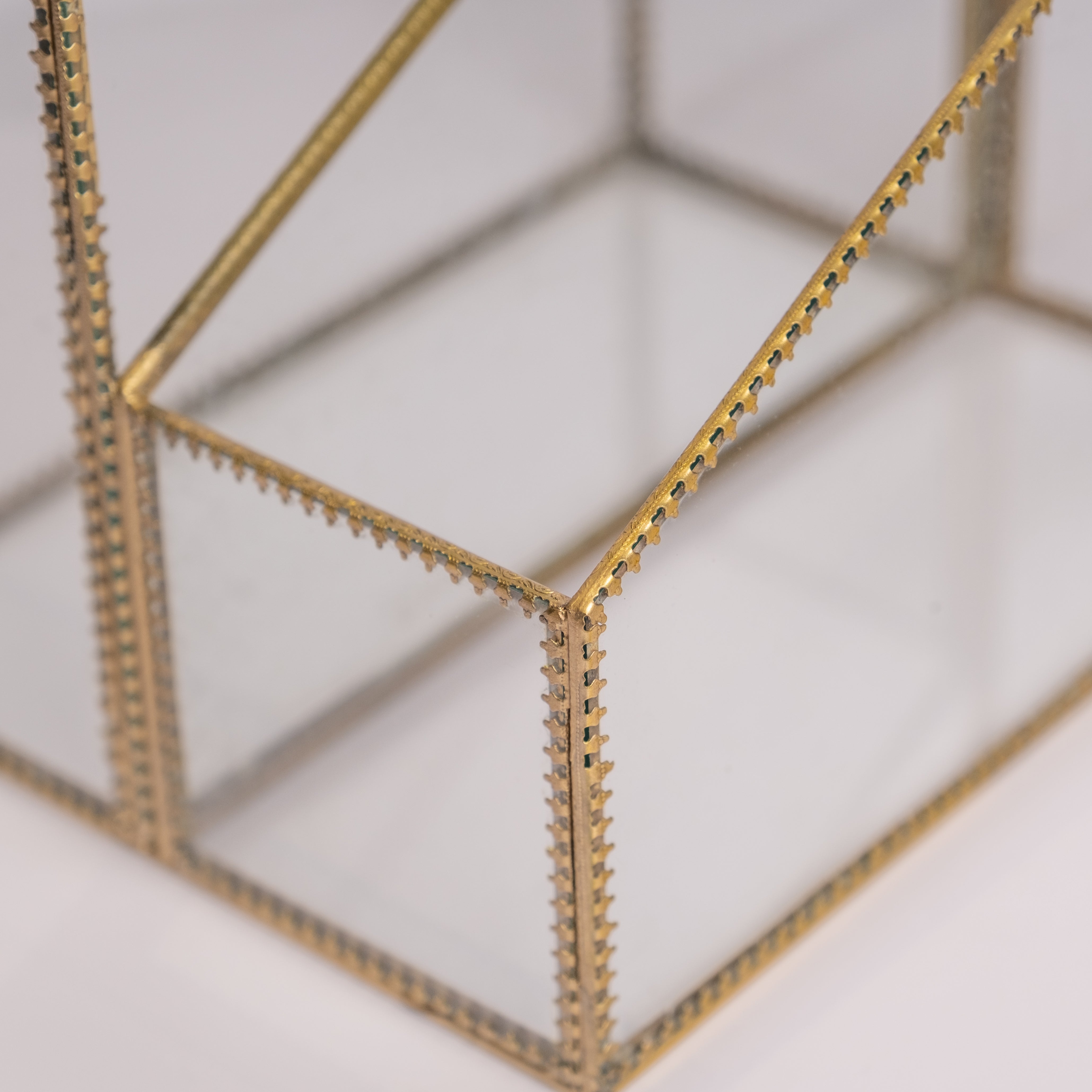 Pristine Organiser